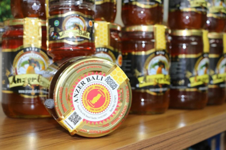 Anzer Bali Haber.jpg (257 KB)